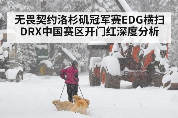 无畏契约洛杉矶冠军赛EDG横扫DRX中国赛区开门红深度分析